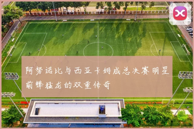 阿努诺比与西亚卡姆成总决赛明星前锋猛龙的双重传奇